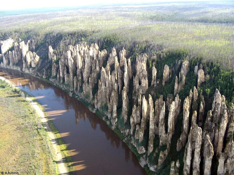 тепло души в библиотеке 19